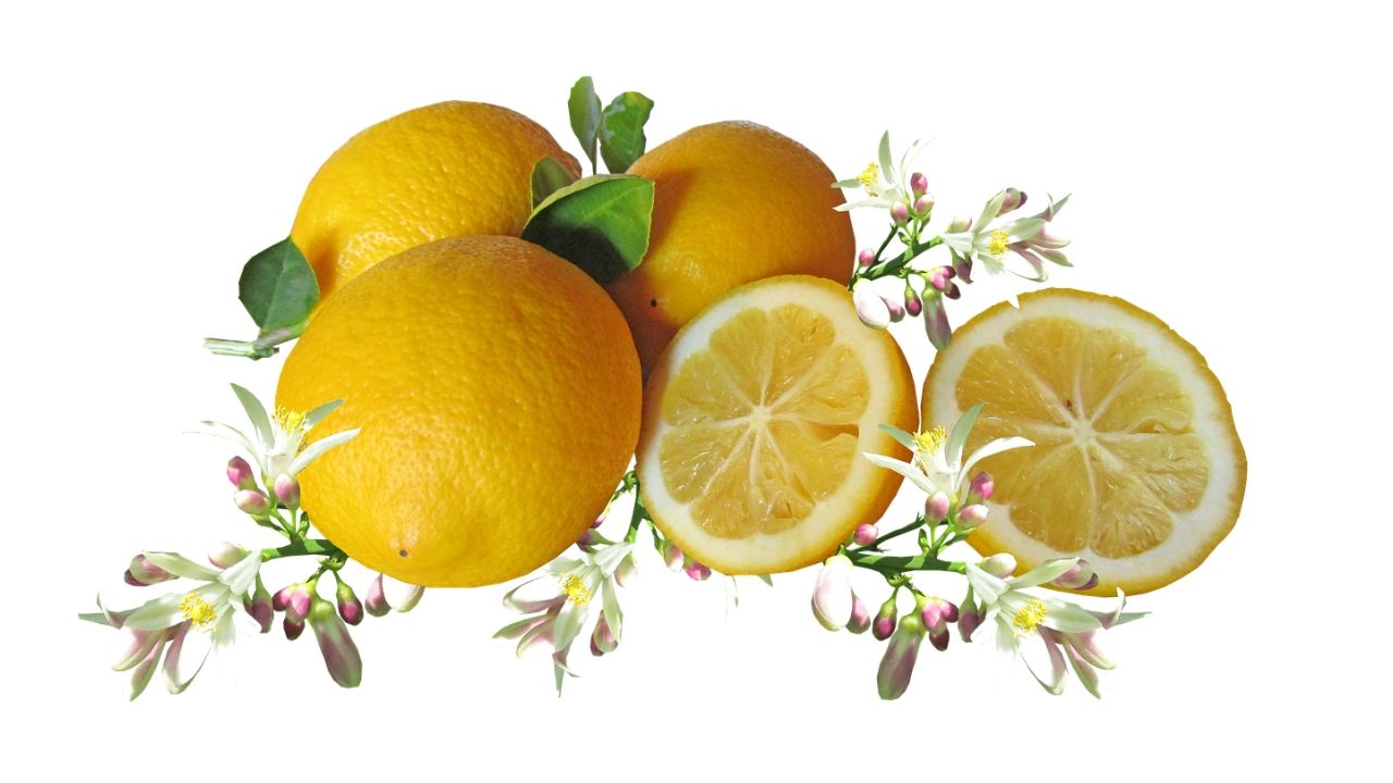 citrom illóolaj hatása párologtatása